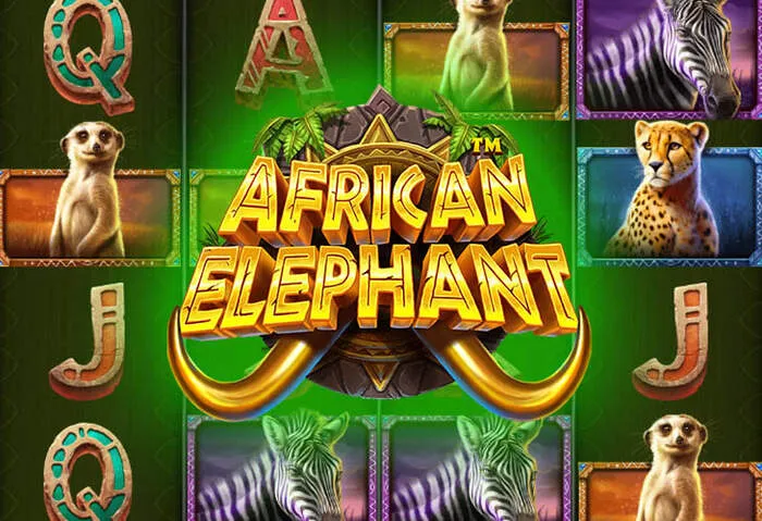 Online slots and casino games with exclusive bonus offers.